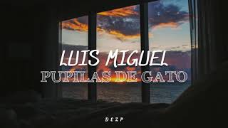 Luis Miguel // Pupilas De Gato [Letra]
