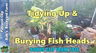 Rob bob's backyard aquaponics The McClungs' Garden Pool