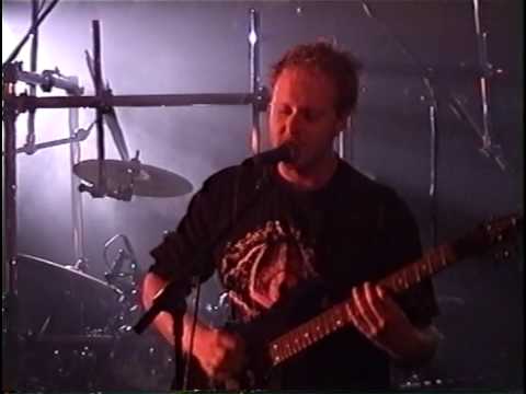 Thorn Video