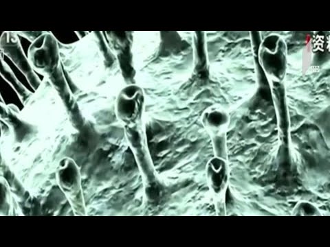 კორონავირუსის გავრცელების პრევენცია