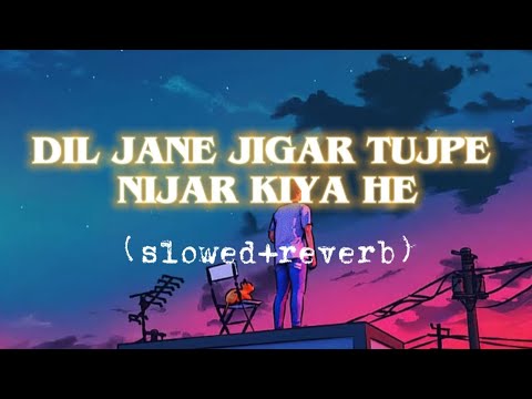 Dil Jaane Jigar Tujhpe Nisaar Kiya Hai slowedreverb