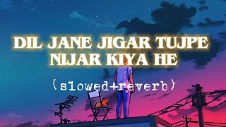 Dil Jaane Jigar Tujhpe Nisaar Kiya Hai (slowed+reverb)