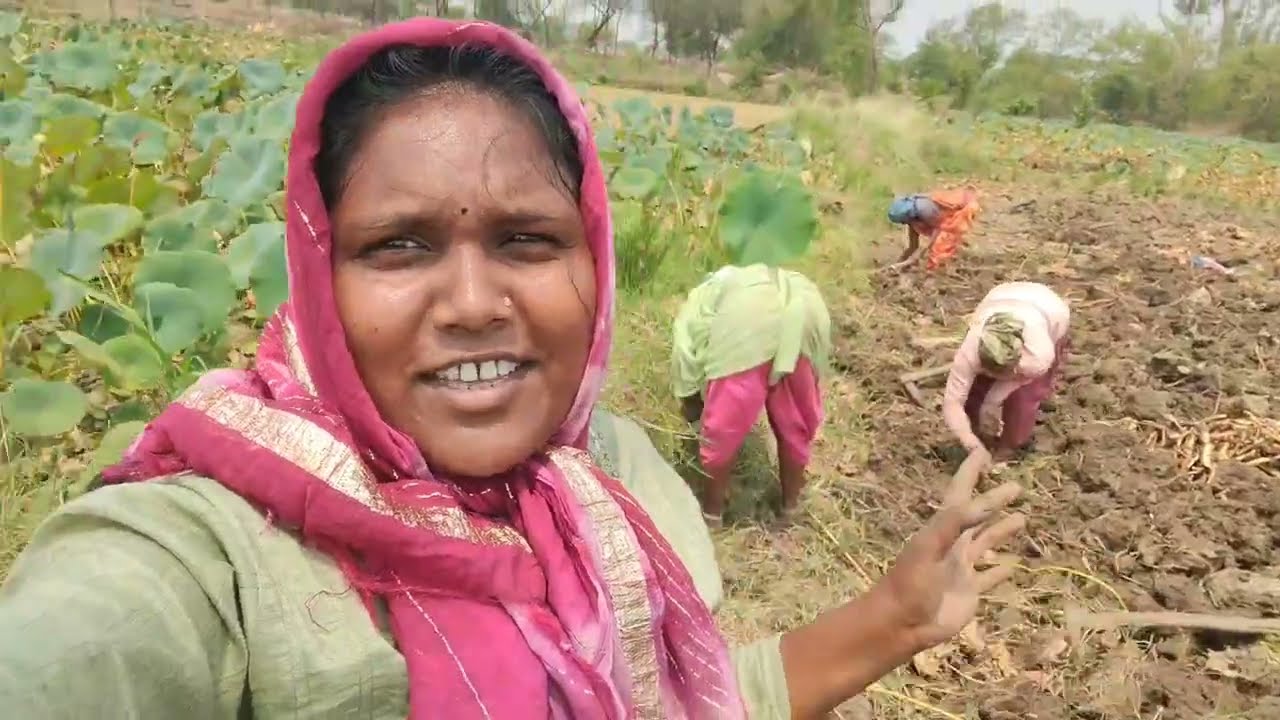 Vlog -546 ढेंस ला कईसे कोड़थन 🥰😊