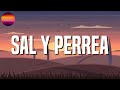 Sech - Sal y Perrea || Bad Bunny, DEKKO, Tiago PZK (Letras\Lyrics)