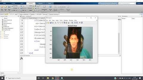 Face Recognition  Project in MATLAB using Transfer learning (with complete code)