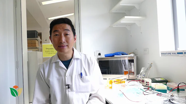 1.7 Using a Transmission Electron Microscope (TEM) to identify carboxysomes inside cells