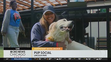 Pup Social now open in Lincoln Park