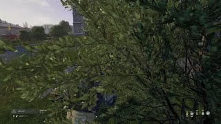 DayZ_i stay active 2x kill