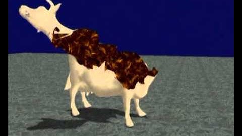 Interactive Virtual Materials