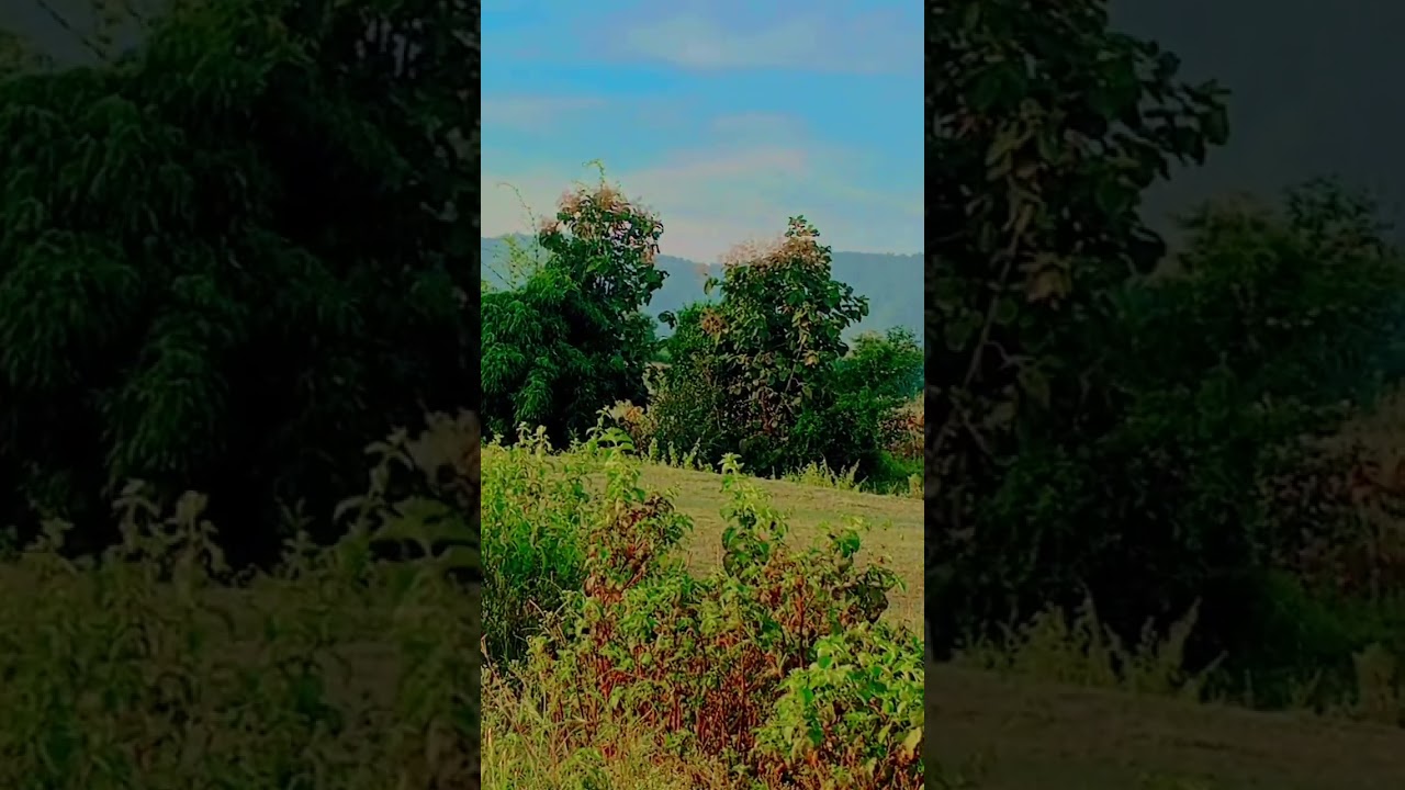 Karun Vandan Hey Shiv Nandan Ganeshkebhajan Bhakti Short Video - Hindi Status Tube