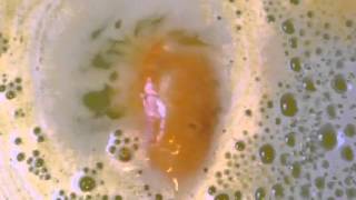 Golden Egg Bath Bomb (Lush Easter 2014)