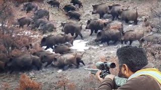 American Hunters And Farmers Hunt Millions Of Wild Animals - Hunting Documentary