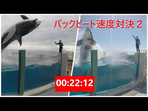 おかえりなさい 怪我から復帰した小松トレーナーさんです Orca Performance