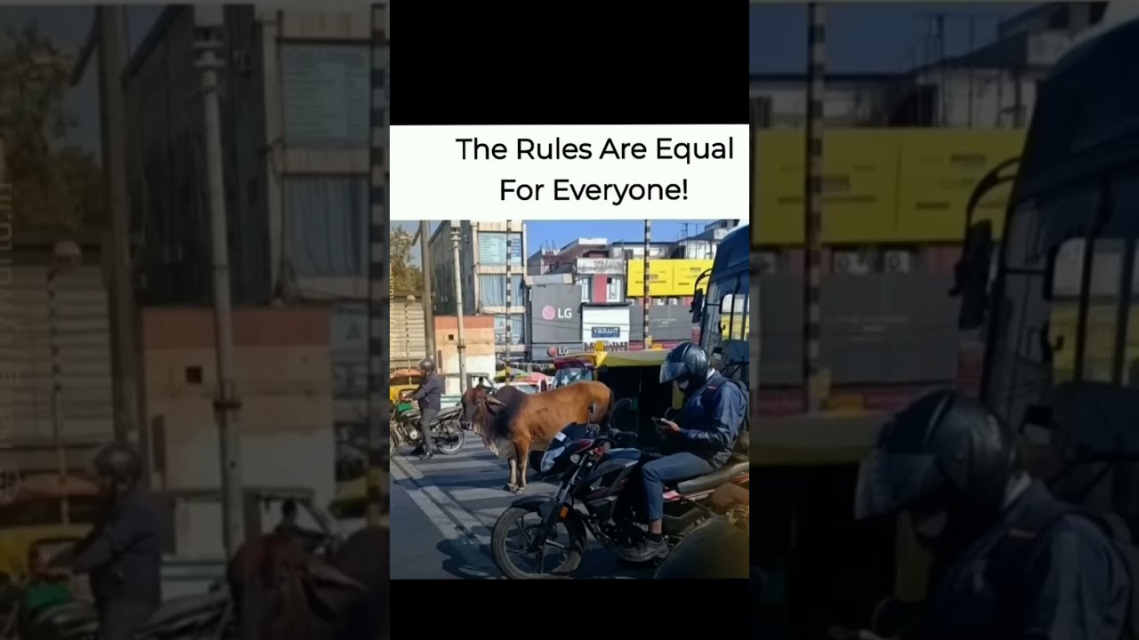 Rules Are Equal For Everyone