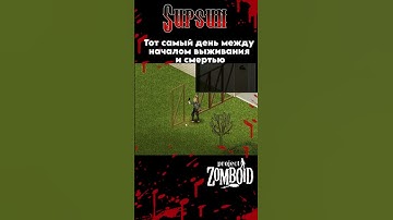 PROJECT ZOMBOID МЕМ #projectzomboid  #steam  #игры #meme #memes #games #zomboid