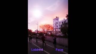 labirint Face