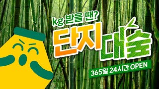 🌿단지 대나무숲🌿 스트레스 다 두고 가는 우리만의 아지트💛 by 바나나맛우유 안녕단지 21,231 views 2 years ago 1 hour