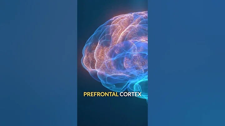 The Neuroscience of Procrastination 🧠 thumbnail