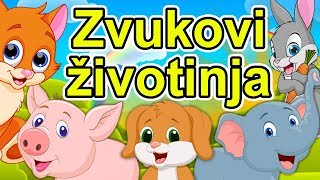 Zvukovi životinja - Dečija pesma o životinjama | Kako kažu životinje | Zvuci životinja | Animals