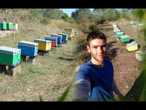 Βίντεο: Πώς να ξεκινήσετε τη μελισσοκομία