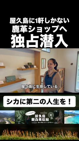 【切り抜き】島で唯一のヤクシカ革作家のお店にいってみたら素敵すぎた
