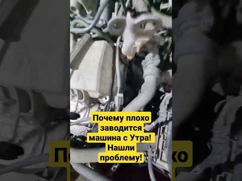 Почему машина плохо заводится с утра? Нашли Проблему!!