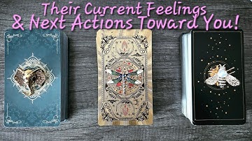 💖Their Current Feelings and Next Actions Toward YOU💖Pick a Card Love Tarot Reading💫Timeless💫