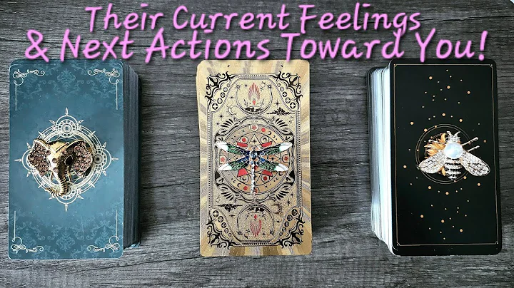 💖Their Current Feelings and Next Actions Toward YOU💖Pick a Card Love Tarot Reading💫Timeless💫