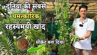 दुनिया की सबसे चमत्कारिक और रहस्यमयी खाद पौधे से ढेर सारे फल लेने का सीक्रेट बता दिया Harish ji ने