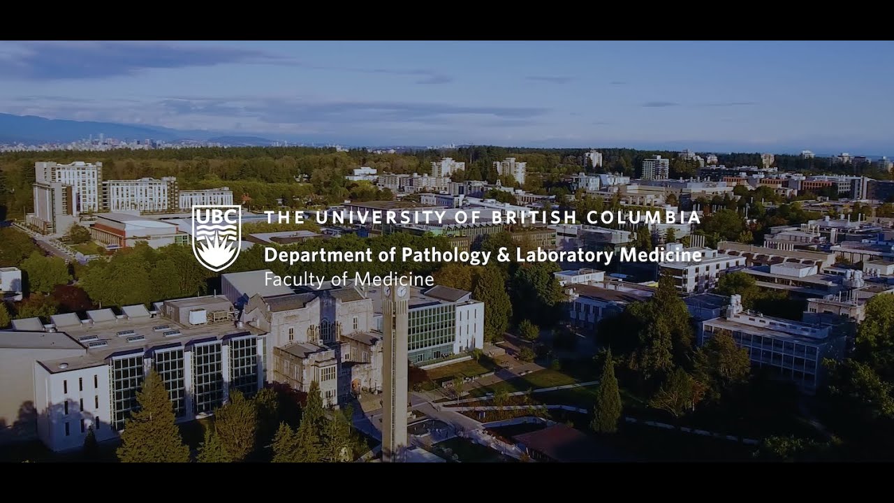 ubc-medicine-residency-programs-anatomical-pathology-residency