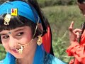 Gori Mukhdi Sajili | garhwali song | kumaoni | Pahari Mp3 Song