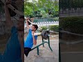 Saka Saka Saka Ponk Saka Saka Saka Ponk