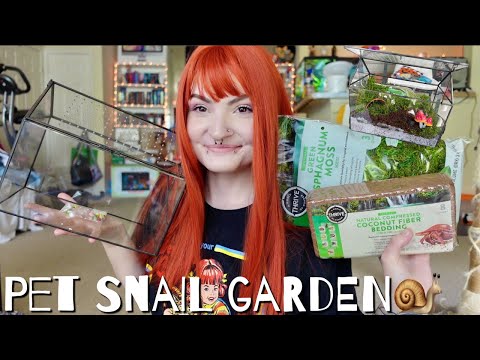 Video: Keeping Snails as Pets: How To Make A Snailarium With Kids