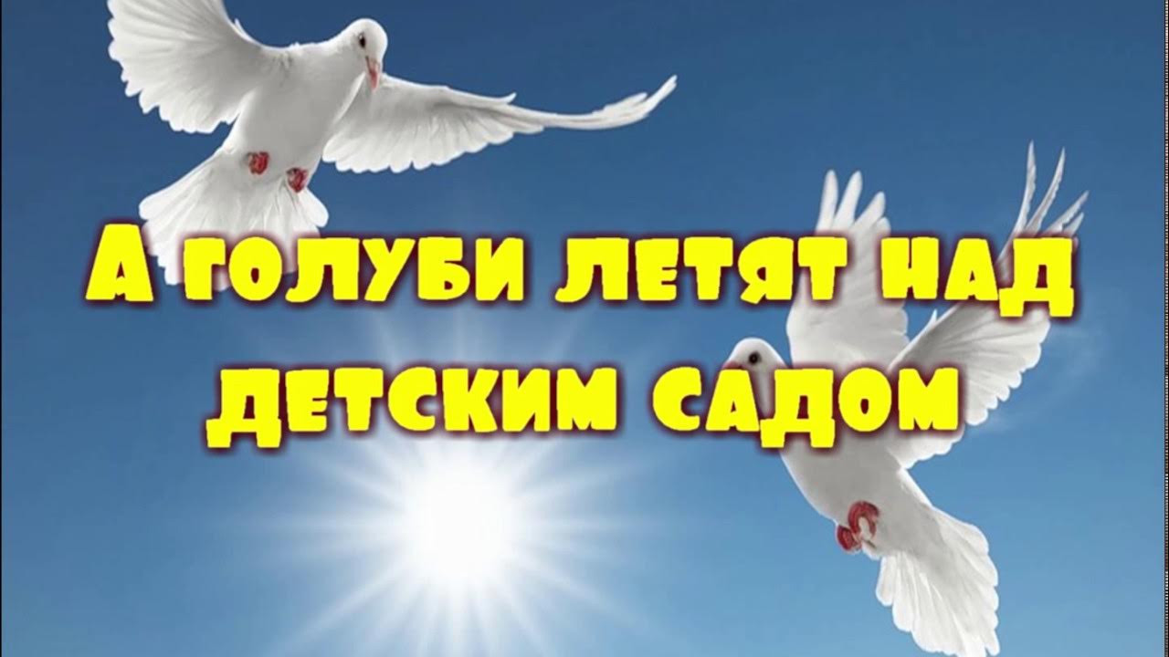 летите голуби шансон. голуби летят над детским. мирного неба над головой. «летите, голуби» (дунаевский — м. голуби летят над нашим садом.