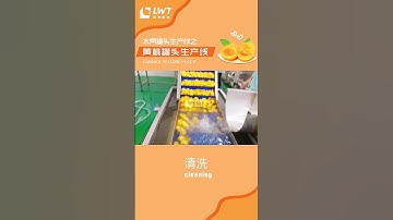 peach canned food line, including yellow peach washing, peeling and slicing machines.