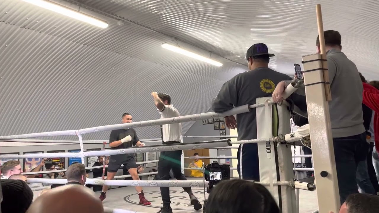 KingPyn Boxing | Tom Zanetti spars Jarvis | KingPyn Open Workout