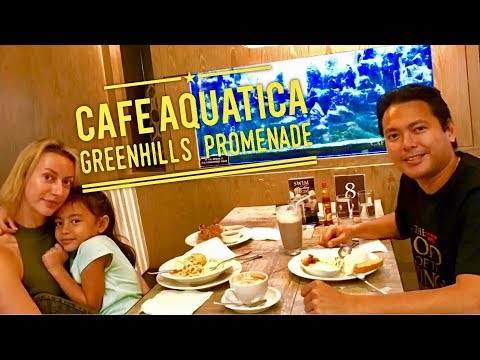 Cafe Aquatica Fish Store and Concept Cafe Greenhills Promenade Dragon Betta Manila