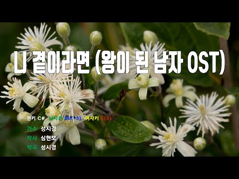 [은성 반주기] 니곁이라면(왕이된남자OST) - 성시경