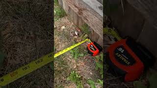 IMG 8601