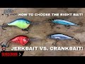 Jerkbait Vs Crankbait: How to CHOOSE the RIGHT BAIT!