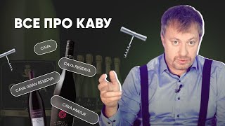 Игристое вино [КАВА] - подробный гид по 