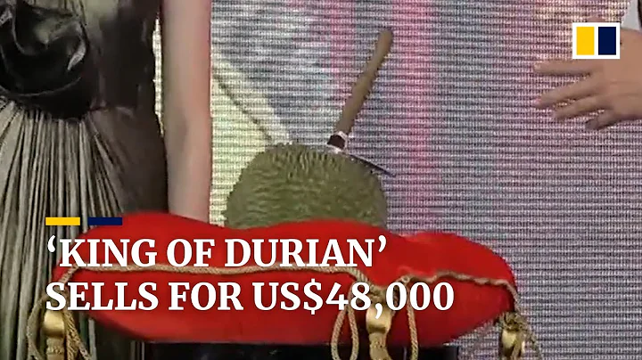 'King of durian' sells for US$48,000 - DayDayNews
