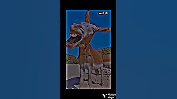 OBJ Mere Jaisa QKarta Hai OBJ😭 ios#abcviods #realfoolsteam#realfools#ajaypoper#ajaypoperkomedievideo