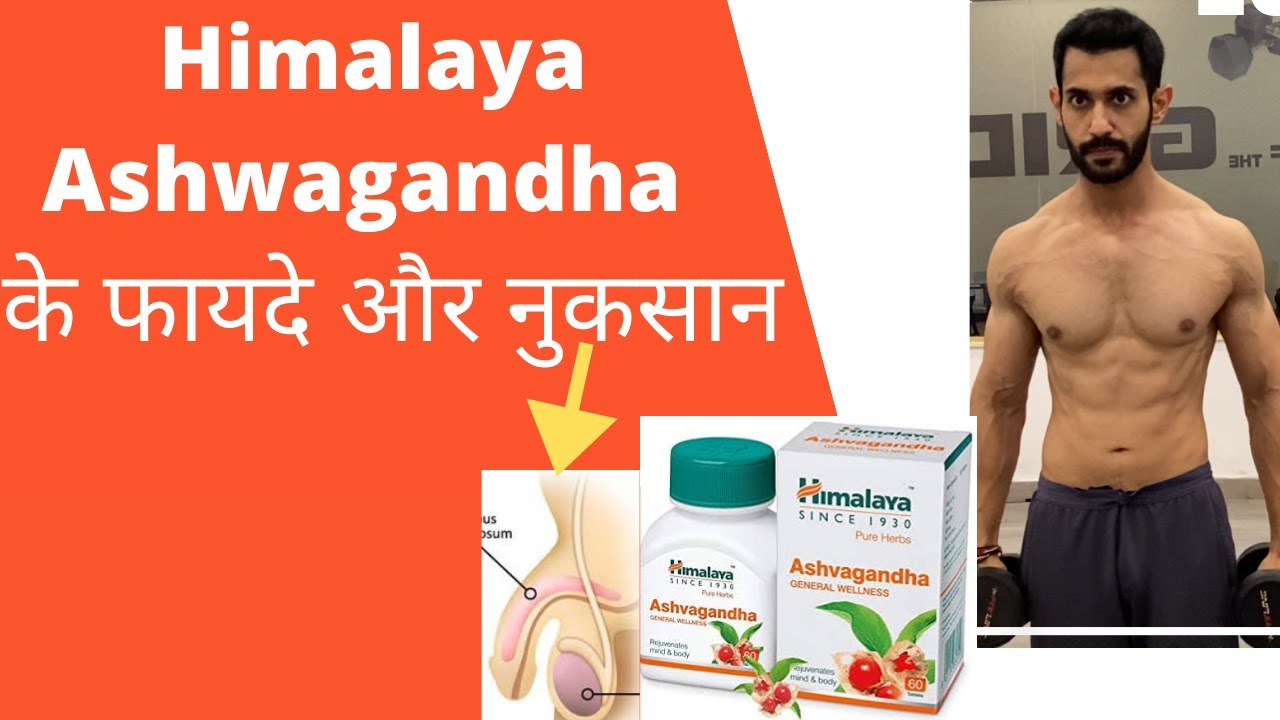 himalaya ashwagandha benefits in bodybuilding in hindi