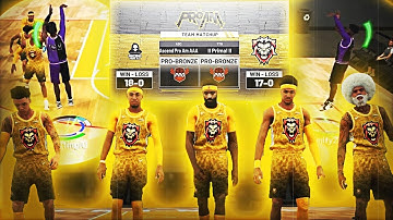 WE PLAYED A TOP 10 PRO-AM TEAM ON NBA 2K19...