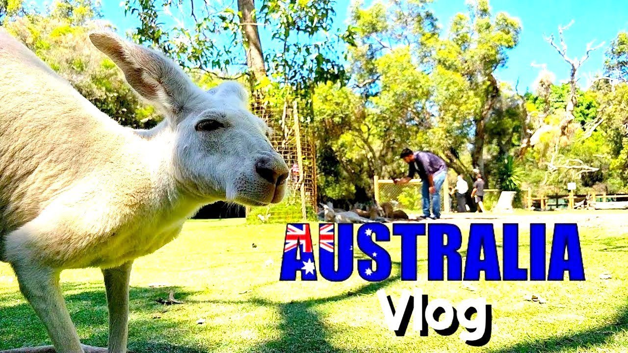 The Comedy Factory Australia Tour VLOG YouTube