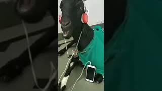 Шогирди Қадами Қурбон