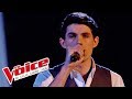 Calogero  yalla  lilian renaud  the voice france 2015  demifinale