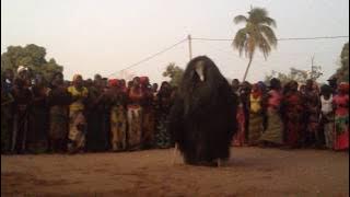 Kumpo dance in Kafountine, Senegal