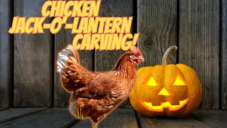 Chickens Carving the Perfect Pumpkin!